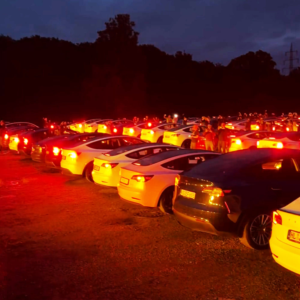 Tesla-Fahrzeuge bei einer Lichtershow in der Dämmerung
